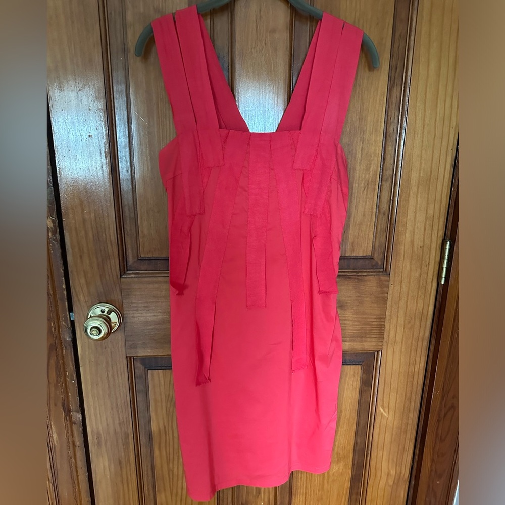 AKIRA Coral Ribbon Appliqué Dress in Size M